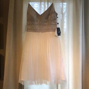Adrianna Papell Sleeveless Beaded Dress